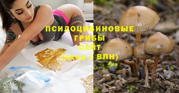 МДПВ Гусиноозёрск